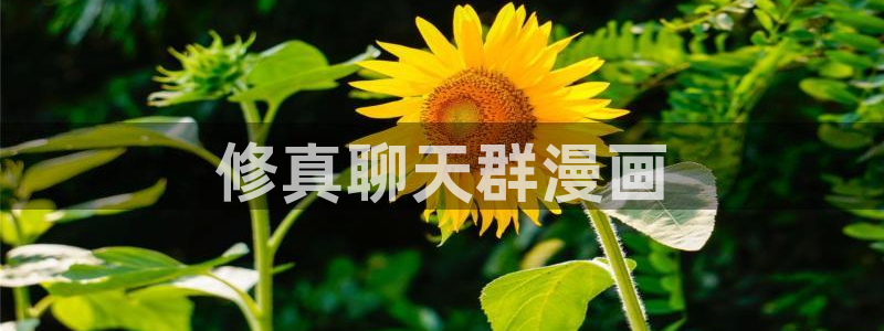 汗汗漫画在线观看免费：修真聊天群漫画