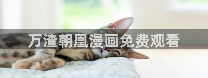 汗汗漫画羞羞首页入口在线免费阅读漫画：万渣朝凰漫画免费观看