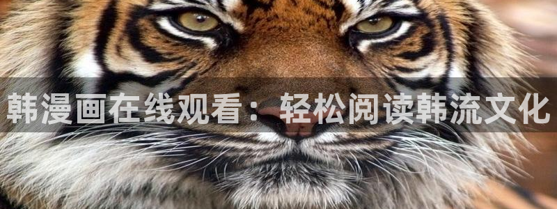 汗汗漫画免费阅读在线阅读下拉式：韩漫画在线观看：轻松阅读韩流文化